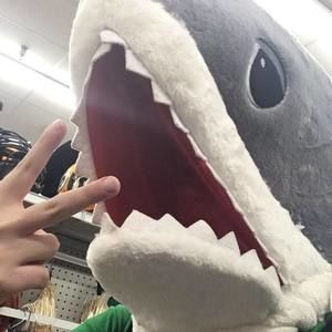 Meet your Posher, Romi